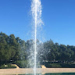 Meet your Posher, Farzaneh